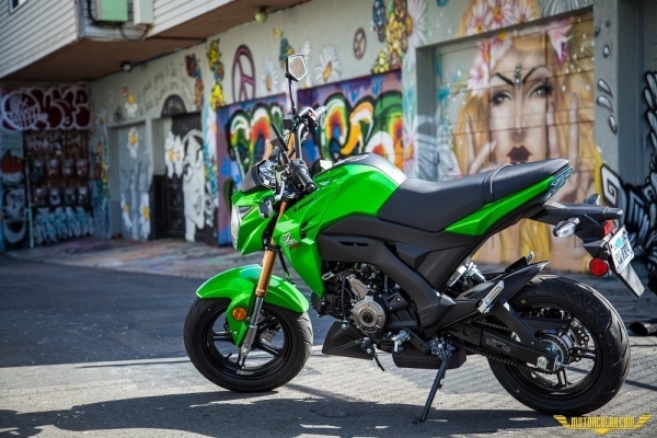 2017 Kawasaki Z 125 PRO
