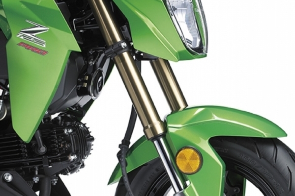 2017 Kawasaki Z 125 PRO